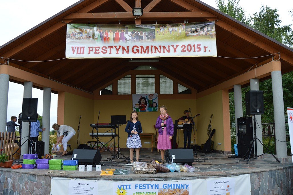 Festyn Gminny 2015 (15)